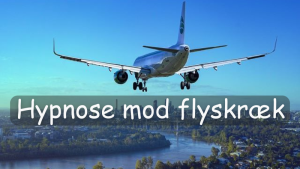 Flyskræk